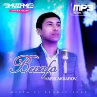 Habib Akbarov - Bevafo