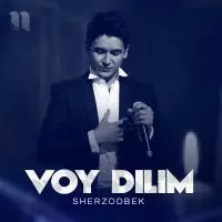 Sherzodbek - Voy dilim