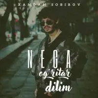 Xamdam Sobirov - Nega og’ritar dilim